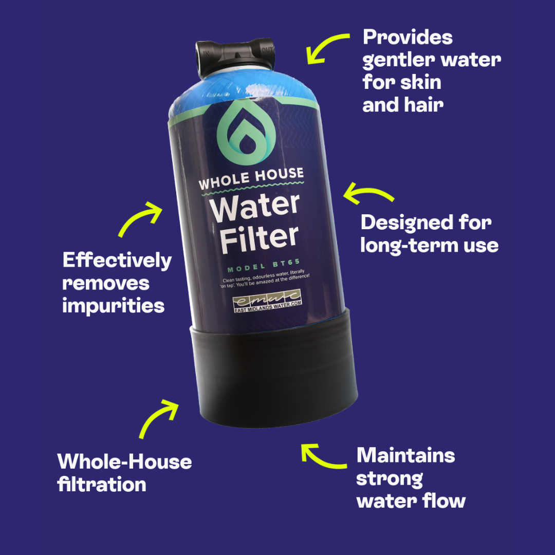 Filtre à eau pour toute la maison BT65 F15 – Capacité de 650 000 L, sans chlore