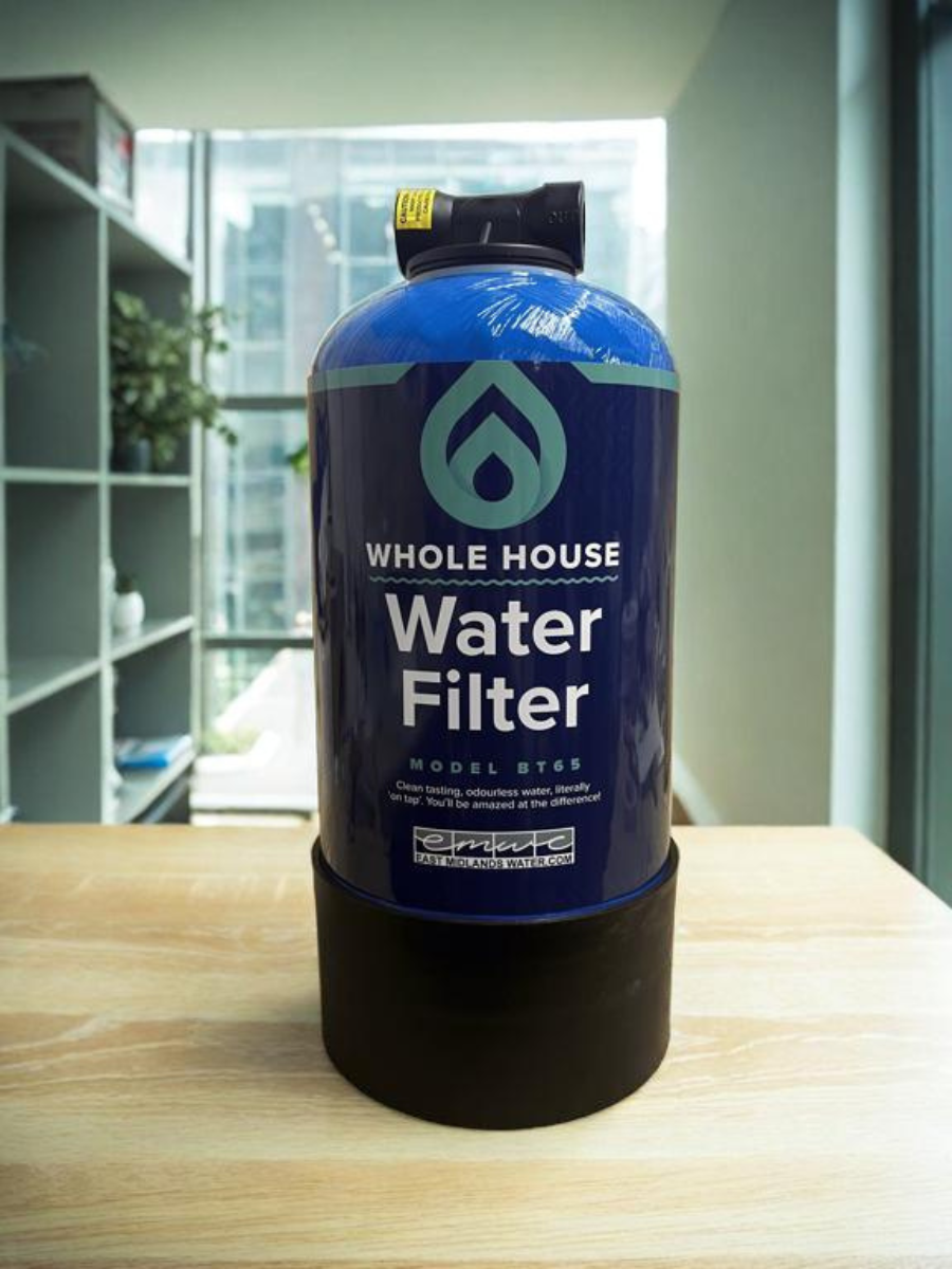 Filtre à eau pour toute la maison BT65 F15 – Capacité de 650 000 L, sans chlore